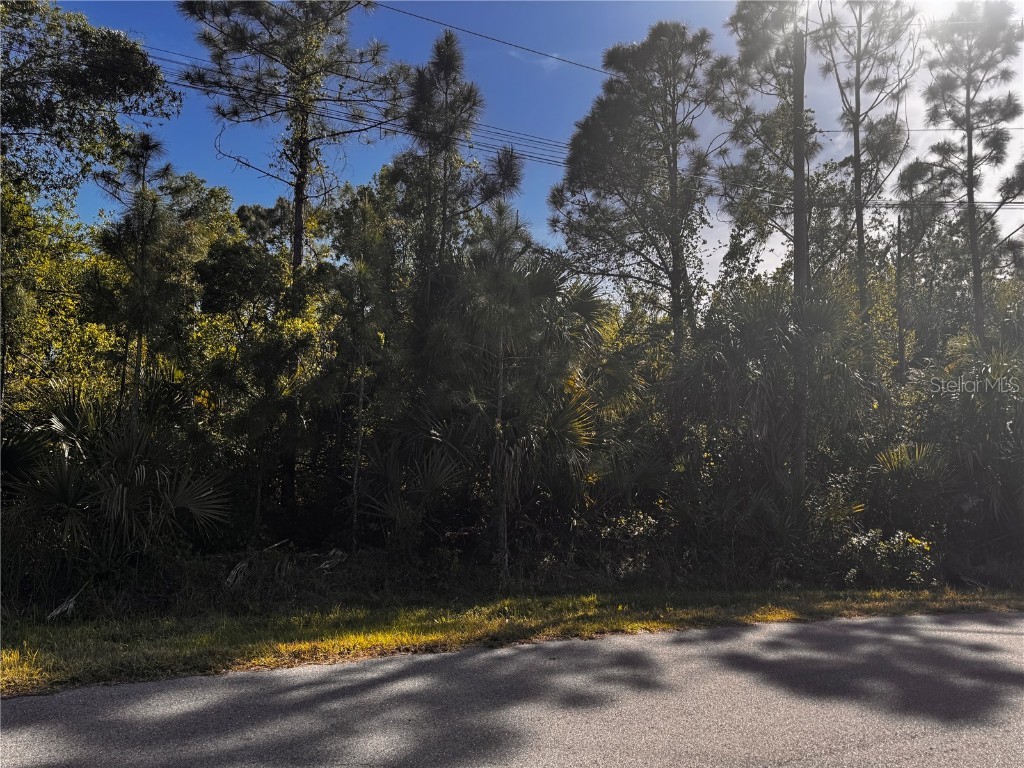 Sawyer Circle North Port FL 34288 N6138247 image6