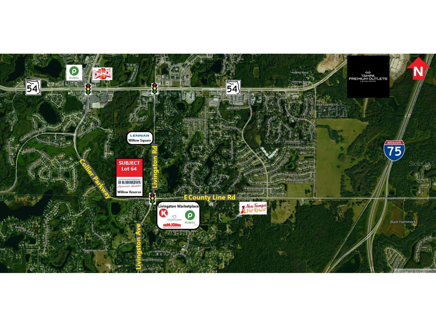 Scaglione Drive Lutz FL 33559 W7847923 image1