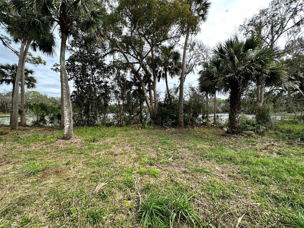 Scarlet Drive Sanford FL 32773 - LAKE ONORA O6196301 image1
