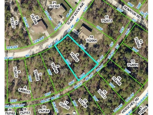 15306 Scaup Duck Avenue Weeki Wachee FL 34614 W7867156 image1