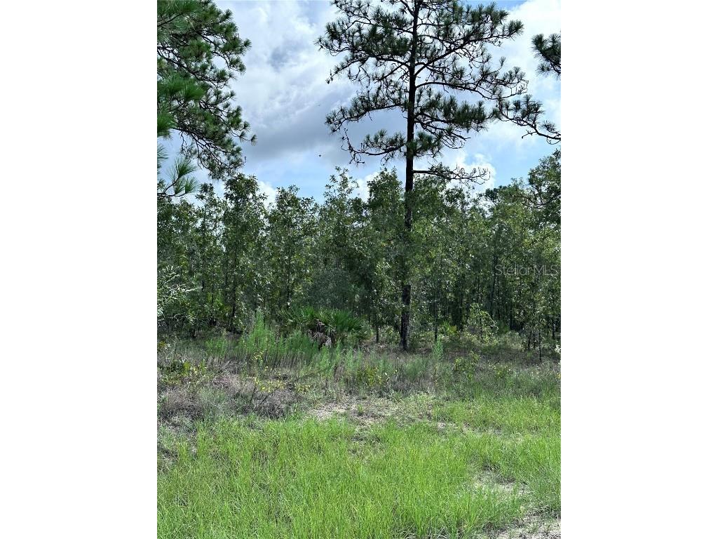 Scaup Duck Avenue Weeki Wachee FL 34614 TB8401124 image1