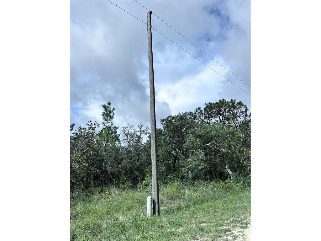 Scaup Duck Avenue Weeki Wachee FL 34614 TB8401124 image2