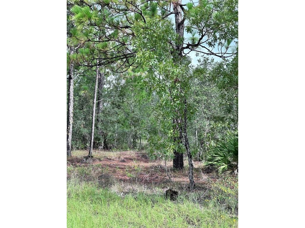 Scaup Duck Avenue Weeki Wachee FL 34614 TB8401124 image3
