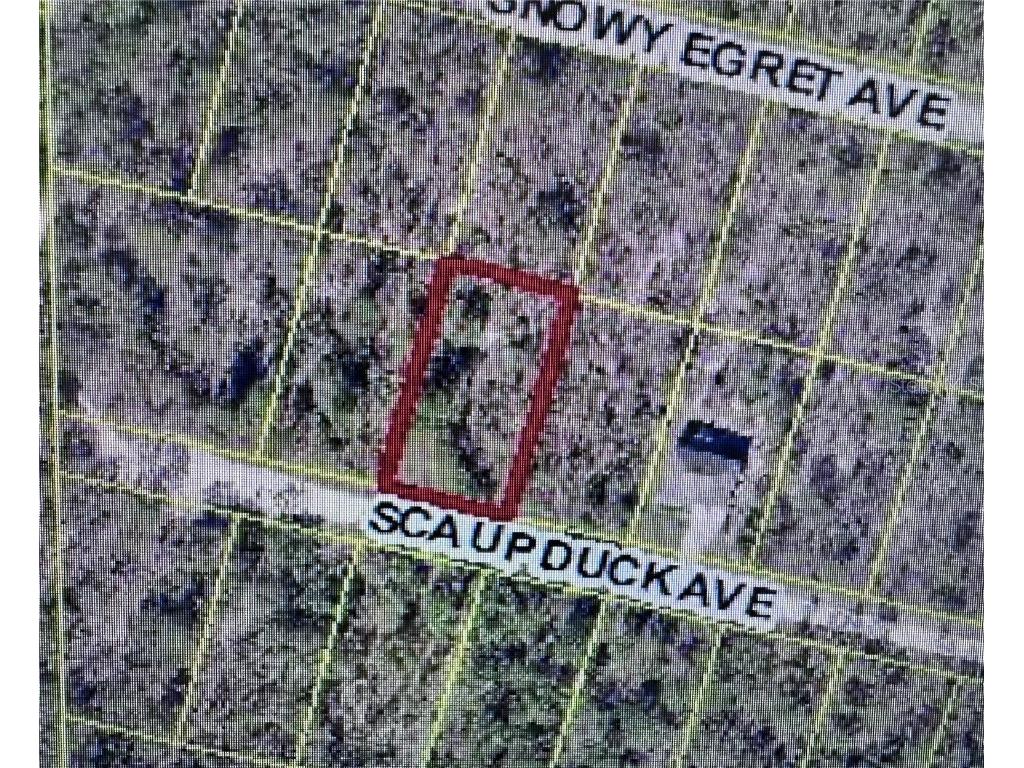 Scaup Duck Avenue Weeki Wachee FL 34614 TB8401124 image4