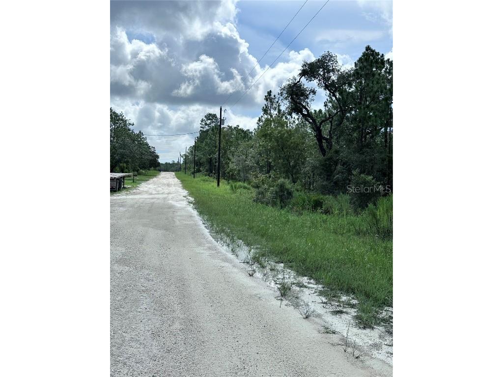 Scaup Duck Avenue Weeki Wachee FL 34614 TB8401124 image5