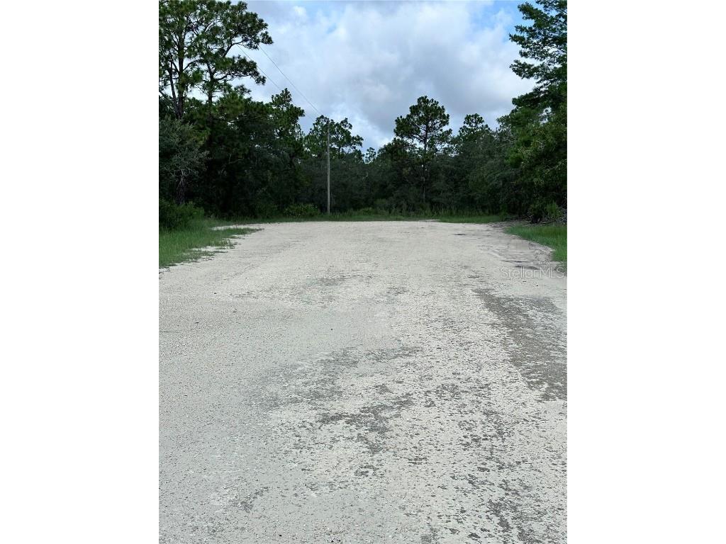 Scaup Duck Avenue Weeki Wachee FL 34614 TB8401124 image6