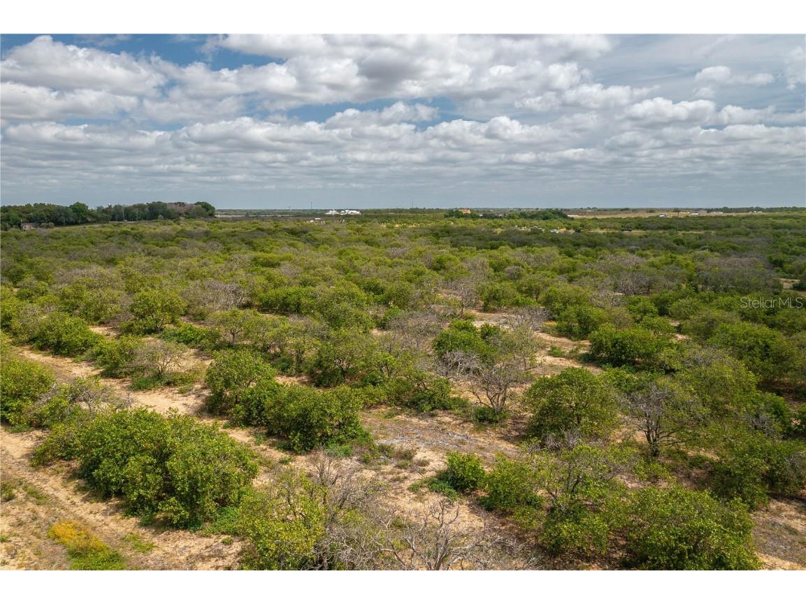 Scenic Highway N Babson Park FL 33827 P4929818 image6