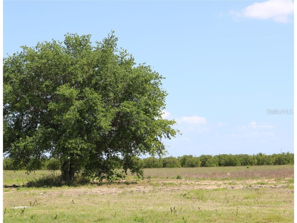 Scenic Highway S Haines City FL 33844 L4928791 image1