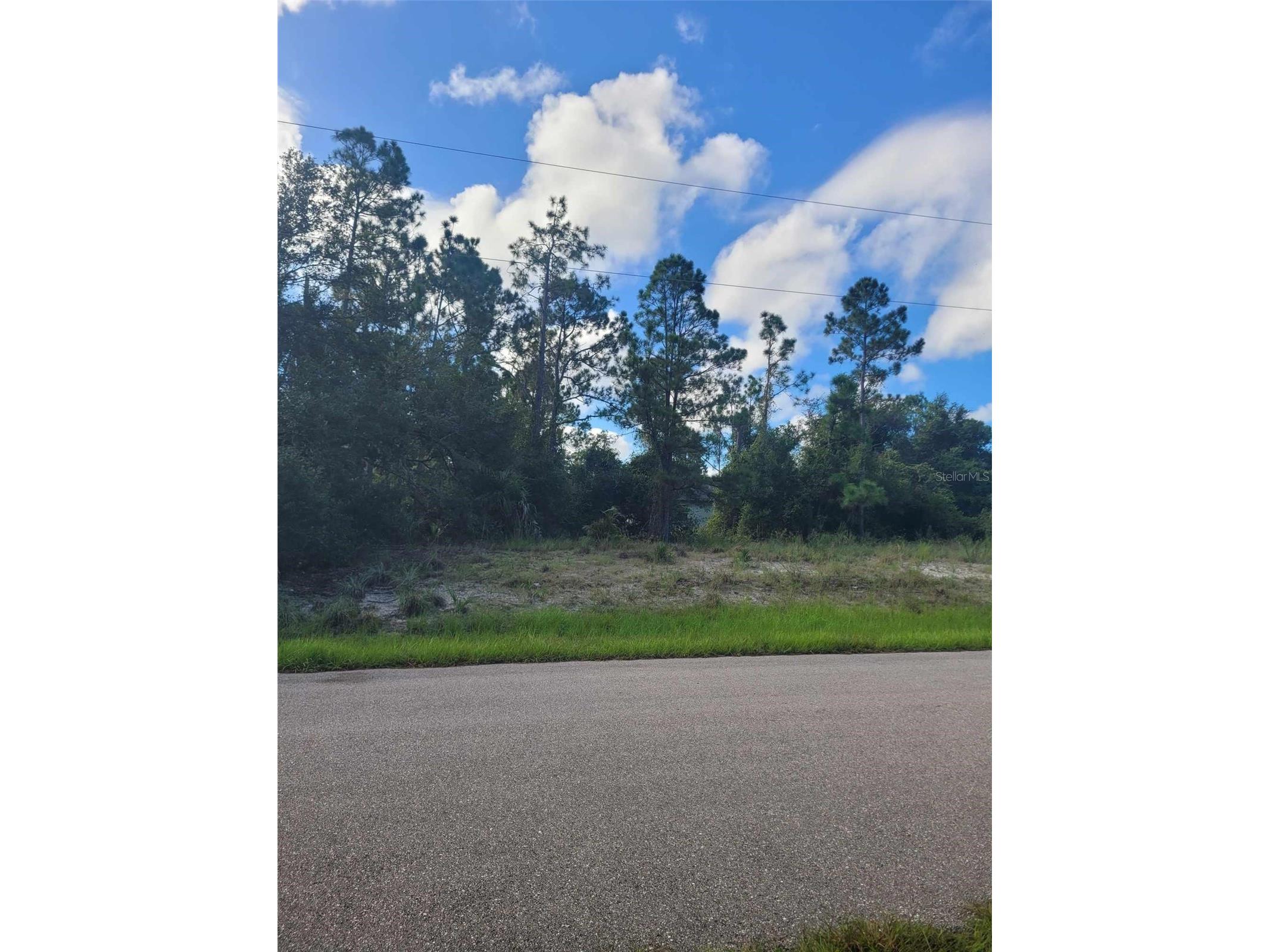 Scenic Road North Port FL 34288 O6406518 image1