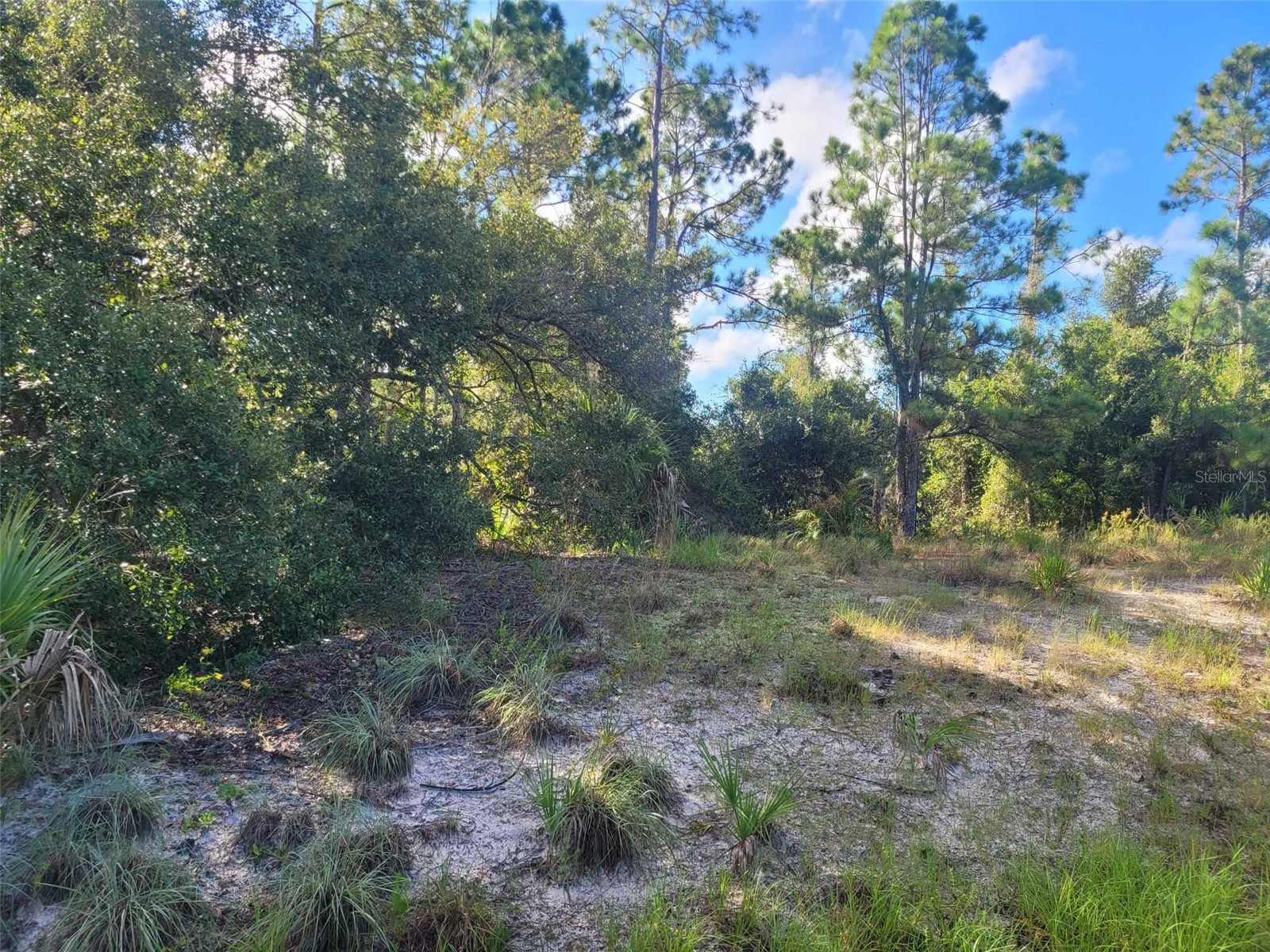 Scenic Road North Port FL 34288 O6406518 image4