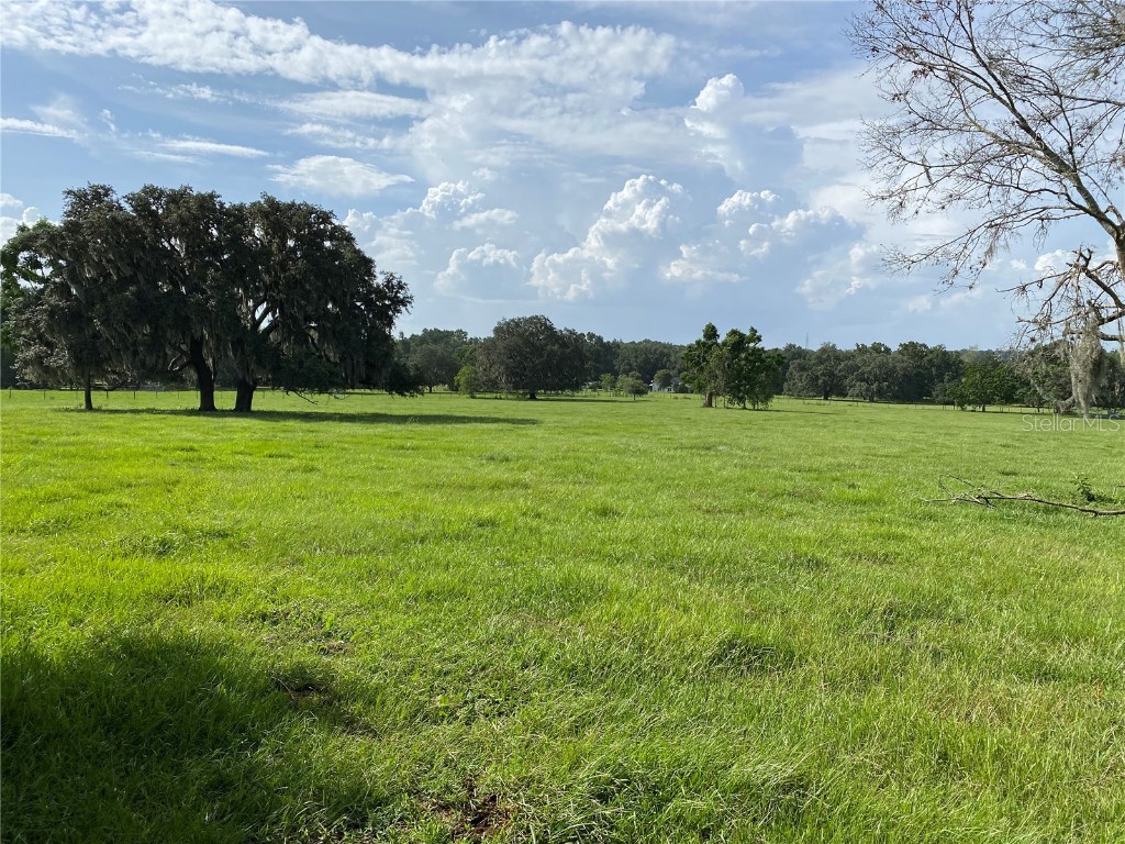 Scharber Road Dade City FL 33525 T3548922 image1
