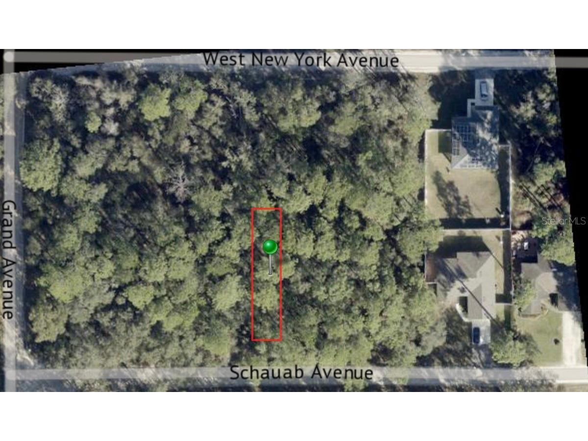 Schaub Avenue Orange City FL 32763 V4932114 image1