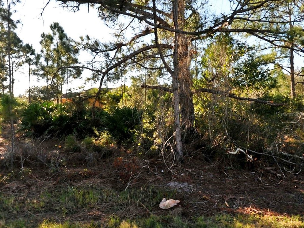 Schoen Street North Port FL 34291 A4649309 image1