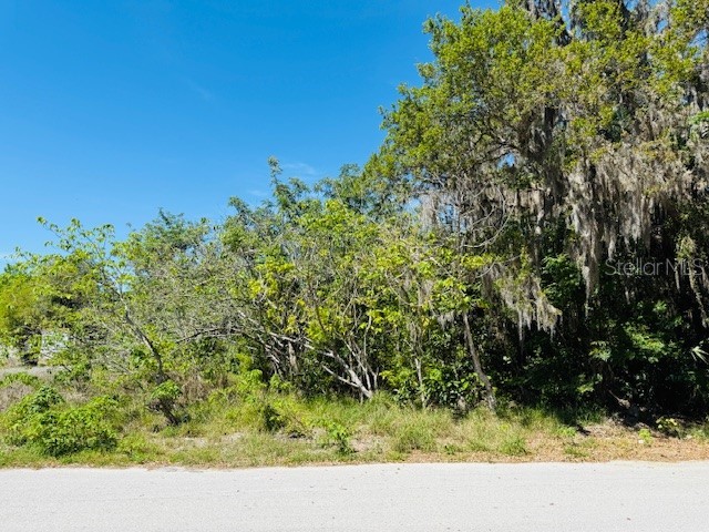 Schoolview Street Leesburg FL 34748 O6293571 image1