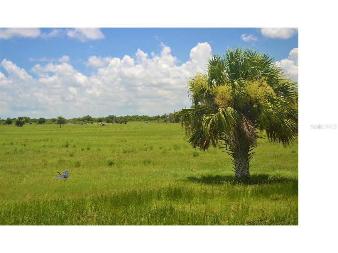 Schumann Road Fort Pierce FL 34945 O6092444 image4