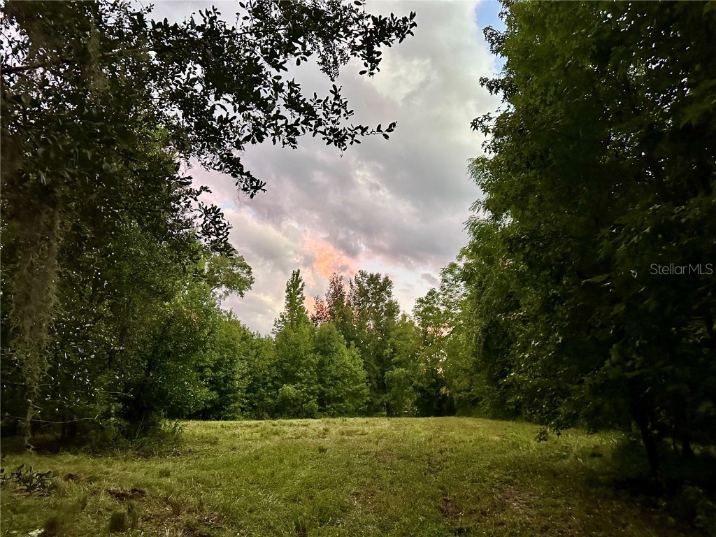 Science Drive Brooksville FL 34601 W7865571 image1