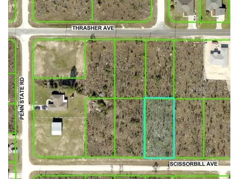 Scissorbill Avenue Brooksville FL 34614 W7875525 image1