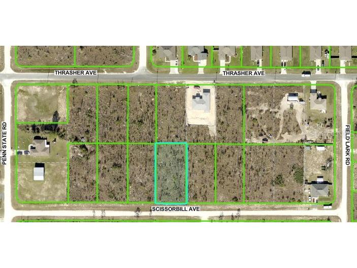 Scissorbill Avenue Brooksville FL 34614 W7875529 image1