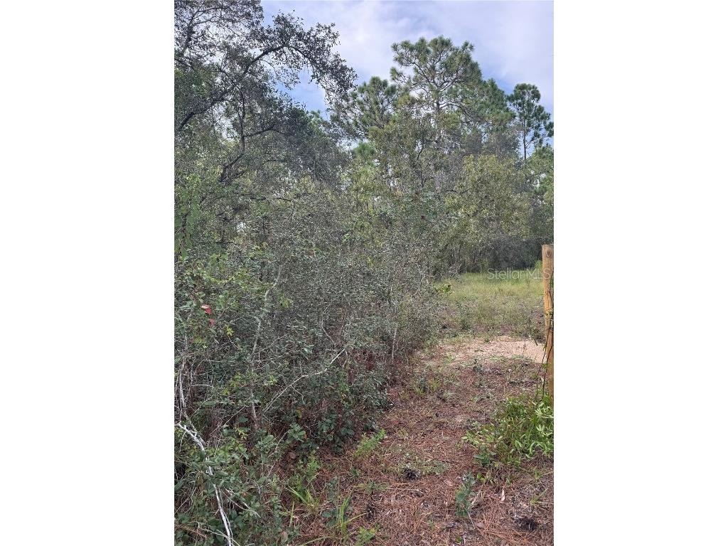 Scooby Road Brooksville FL 34604 TB8426588 image1