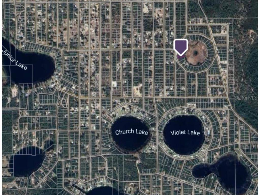 Scott Cir Interlachen FL 32148 TB8308434 image1