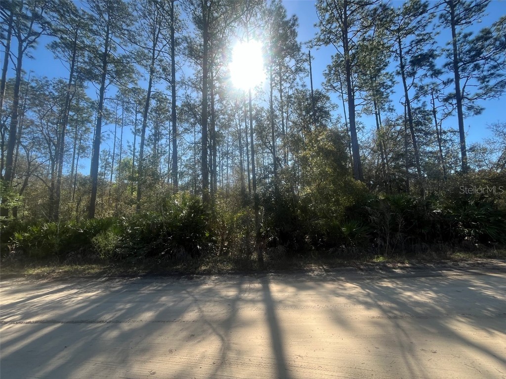 Scott Interlachen FL 32148 OK225022 image1