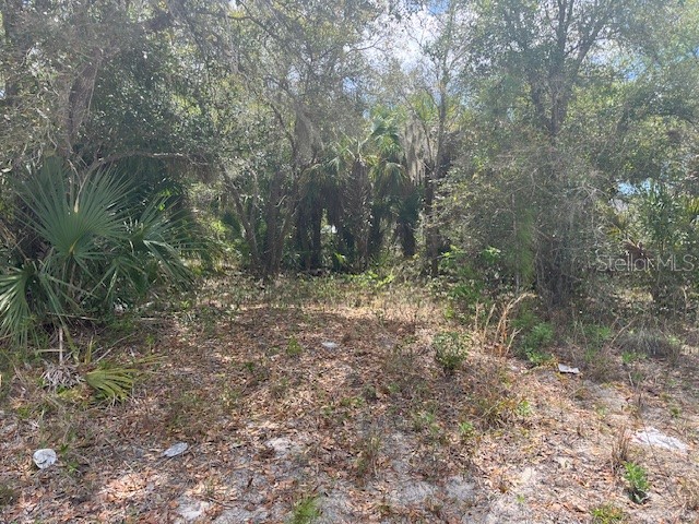Scottish Terrace North Port FL 34288 TB8493312 image1