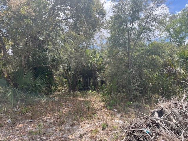 Scottish Terrace North Port FL 34288 TB8493312 image2