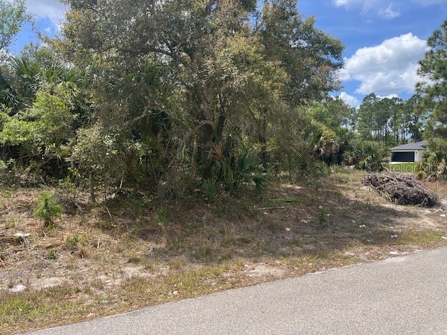 Scottish Terrace North Port FL 34288 TB8493312 image3