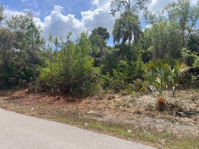 Scottish Terrace North Port FL 34288 TB8493312 image4