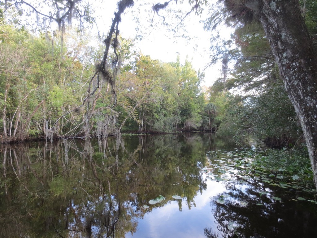 SE 1 Ln Silver Springs FL 34488 OM710312 image20