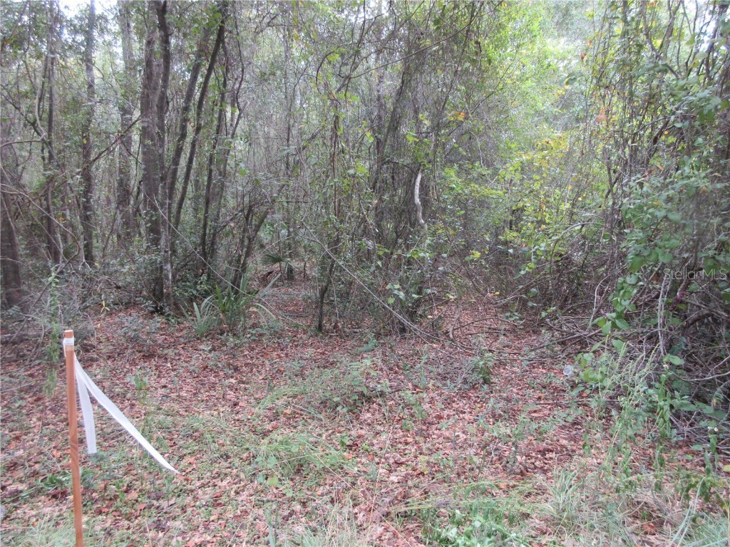 SE 1 Ln Silver Springs FL 34488 OM710312 image3