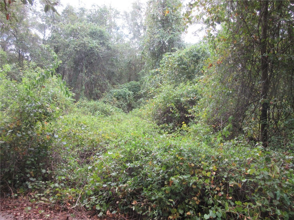 SE 1 Ln Silver Springs FL 34488 OM710312 image4