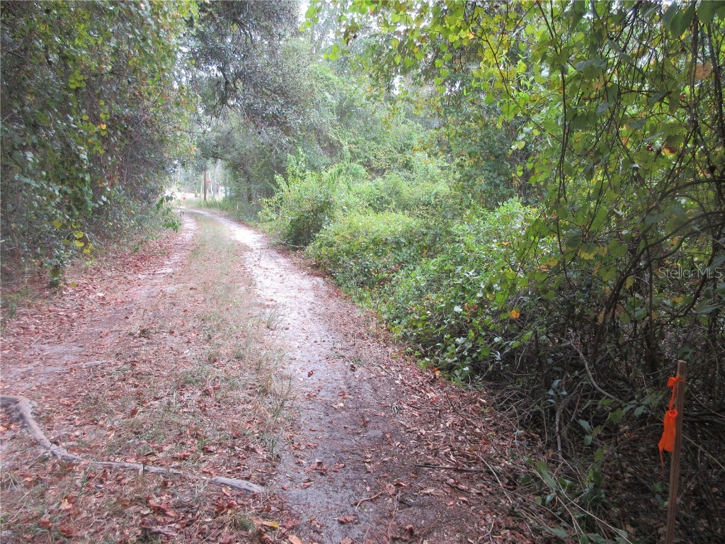 SE 1 Ln Silver Springs FL 34488 OM710312 image6