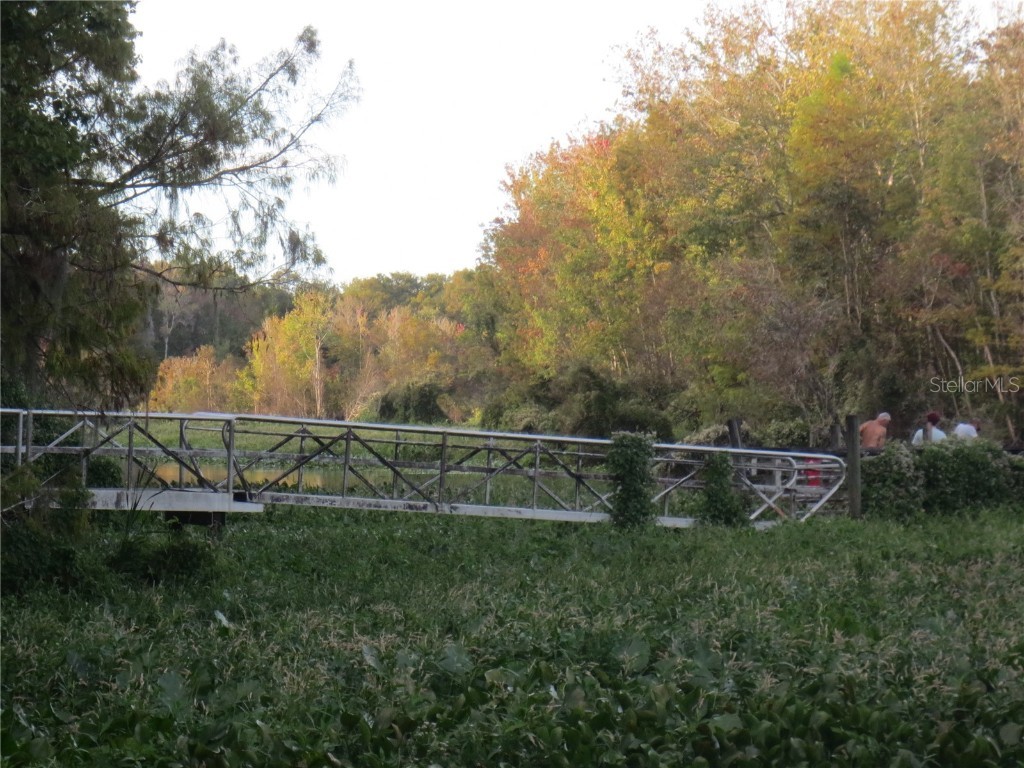 SE 1 Ln Silver Springs FL 34488 OM710321 image17