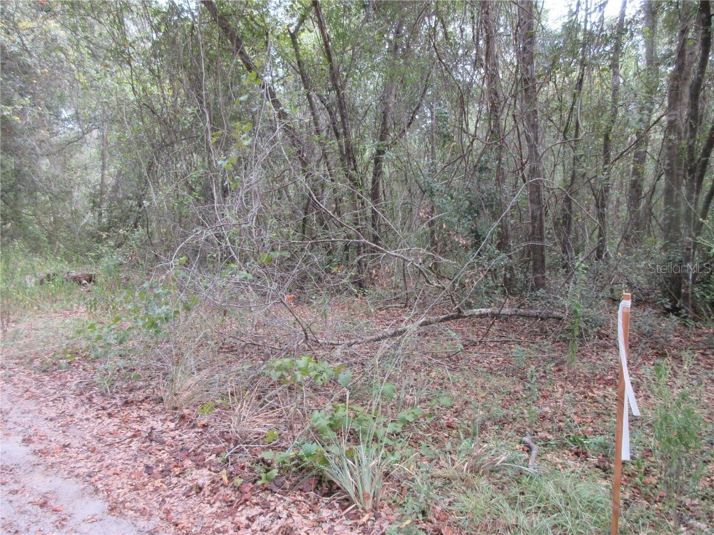 SE 1 Ln Silver Springs FL 34488 OM710321 image5