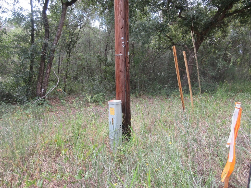 SE 1 Ln Silver Springs FL 34488 OM710321 image6