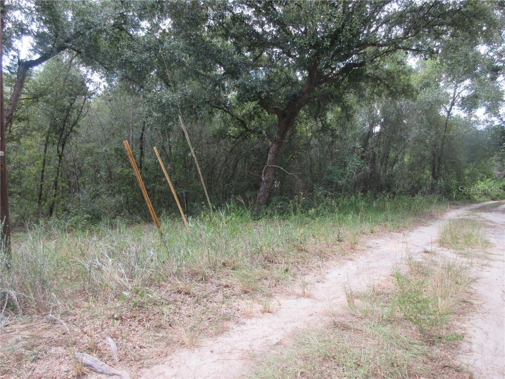 SE 1 Ln Silver Springs FL 34488 OM710321 image8