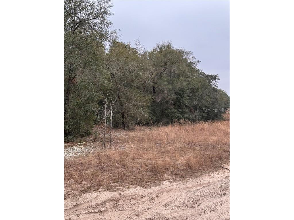 SE 100 Street Ocala FL 34472 OM693676 image7