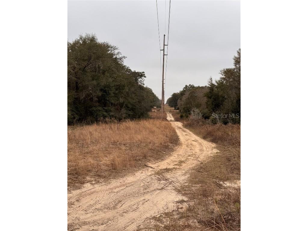 SE 100 Street Ocala FL 34472 OM693676 image8