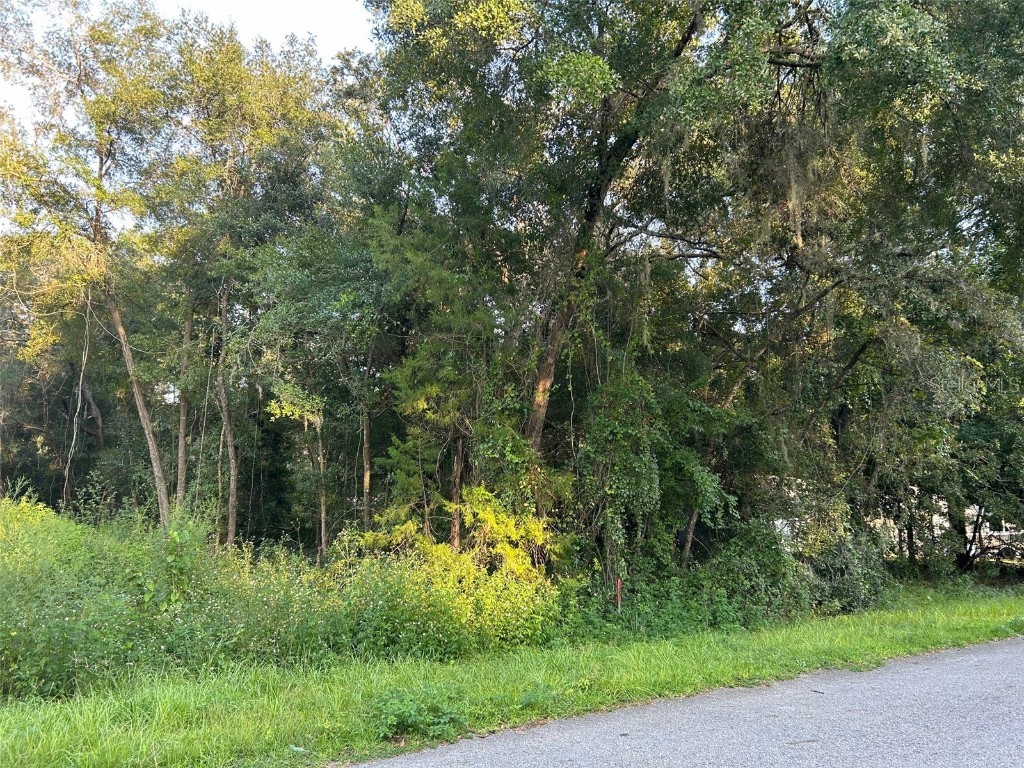 SE 101st Terrace Belleview FL 34420 OM703380 image1