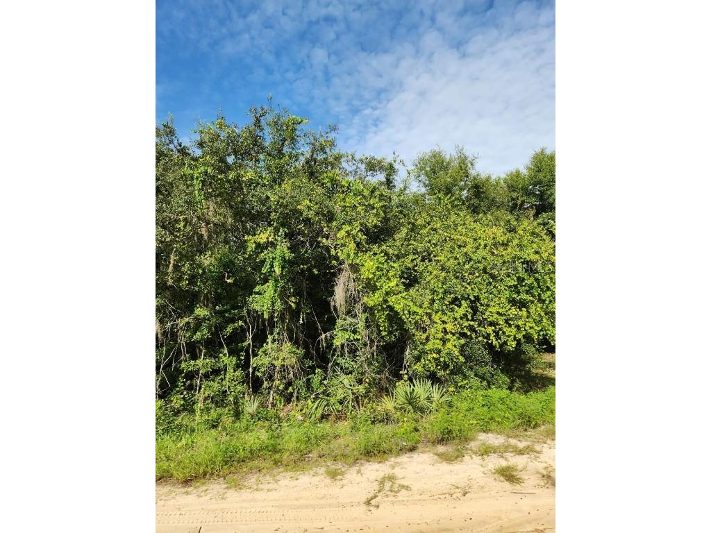 SE 104th Court Ocklawaha FL 32179 O6237193 image1