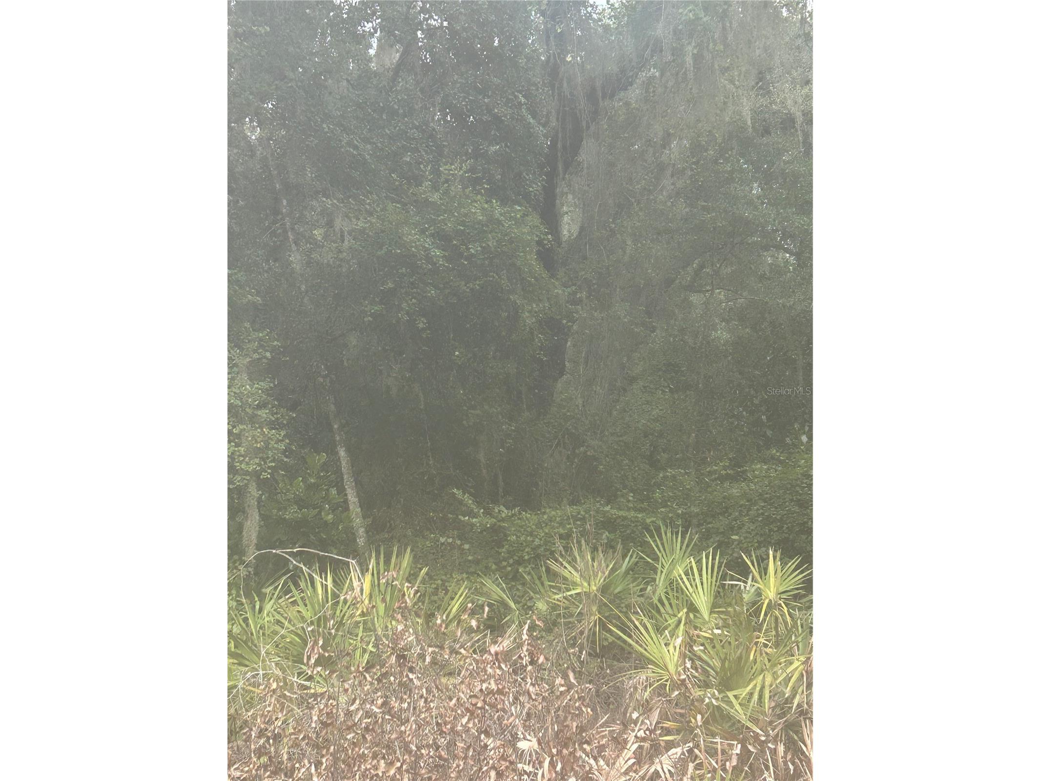 SE 105 Place Ocklawaha FL 32179 S5133907 image2