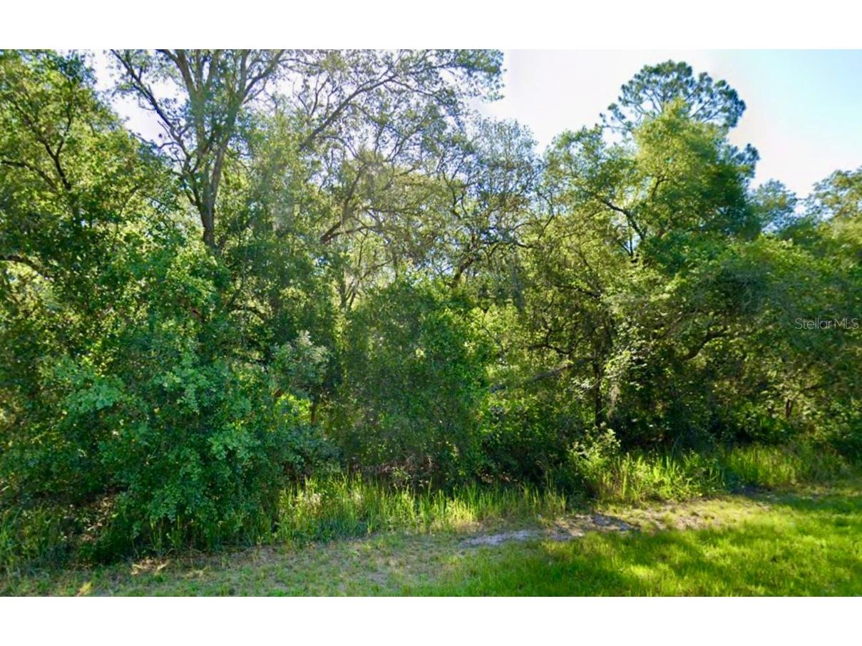 SE 105 Place Ocklawaha FL 32179 TB8313976 image1