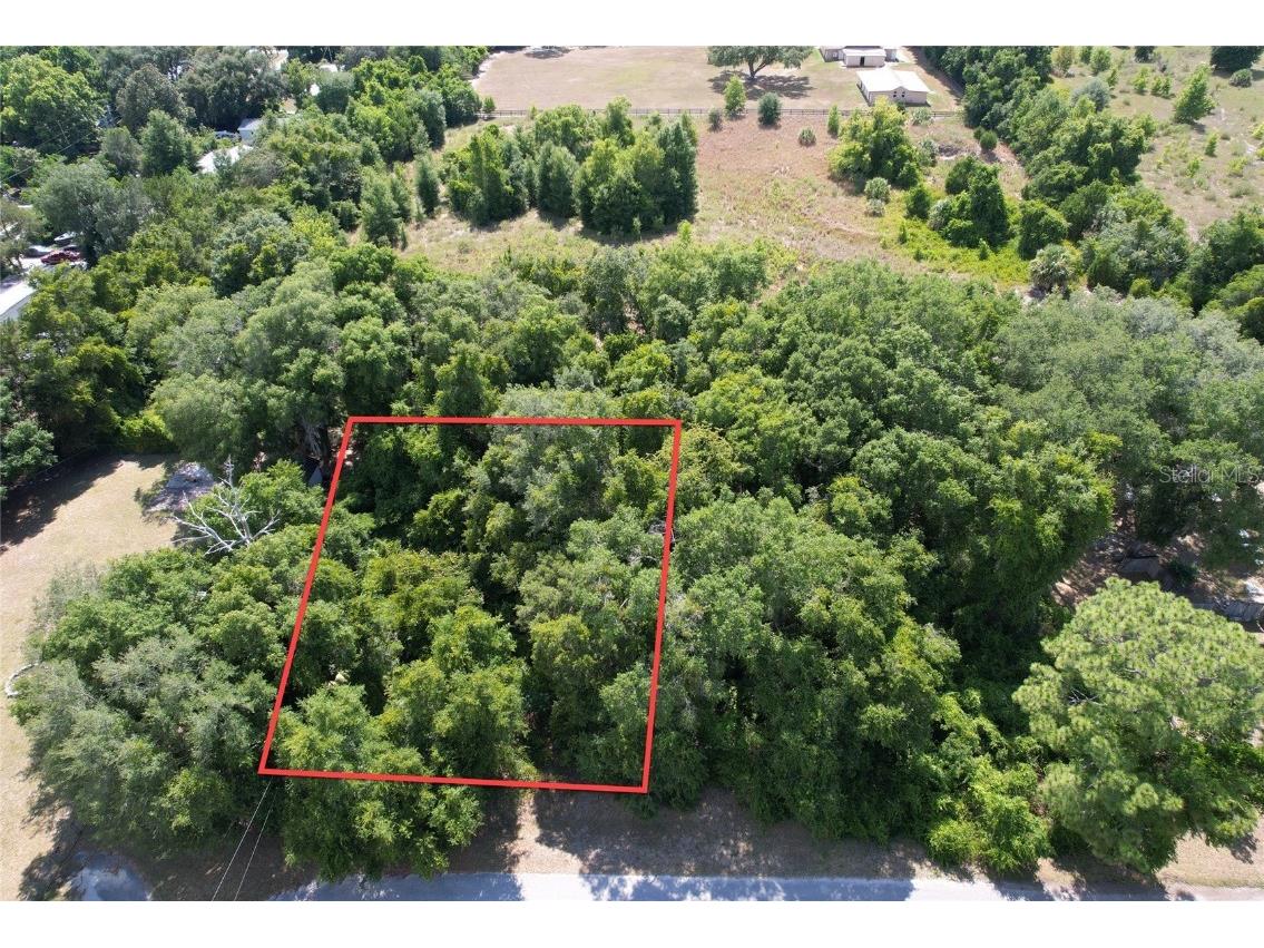 SE 105th Avenue Summerfield FL 34491 O6232074 image1