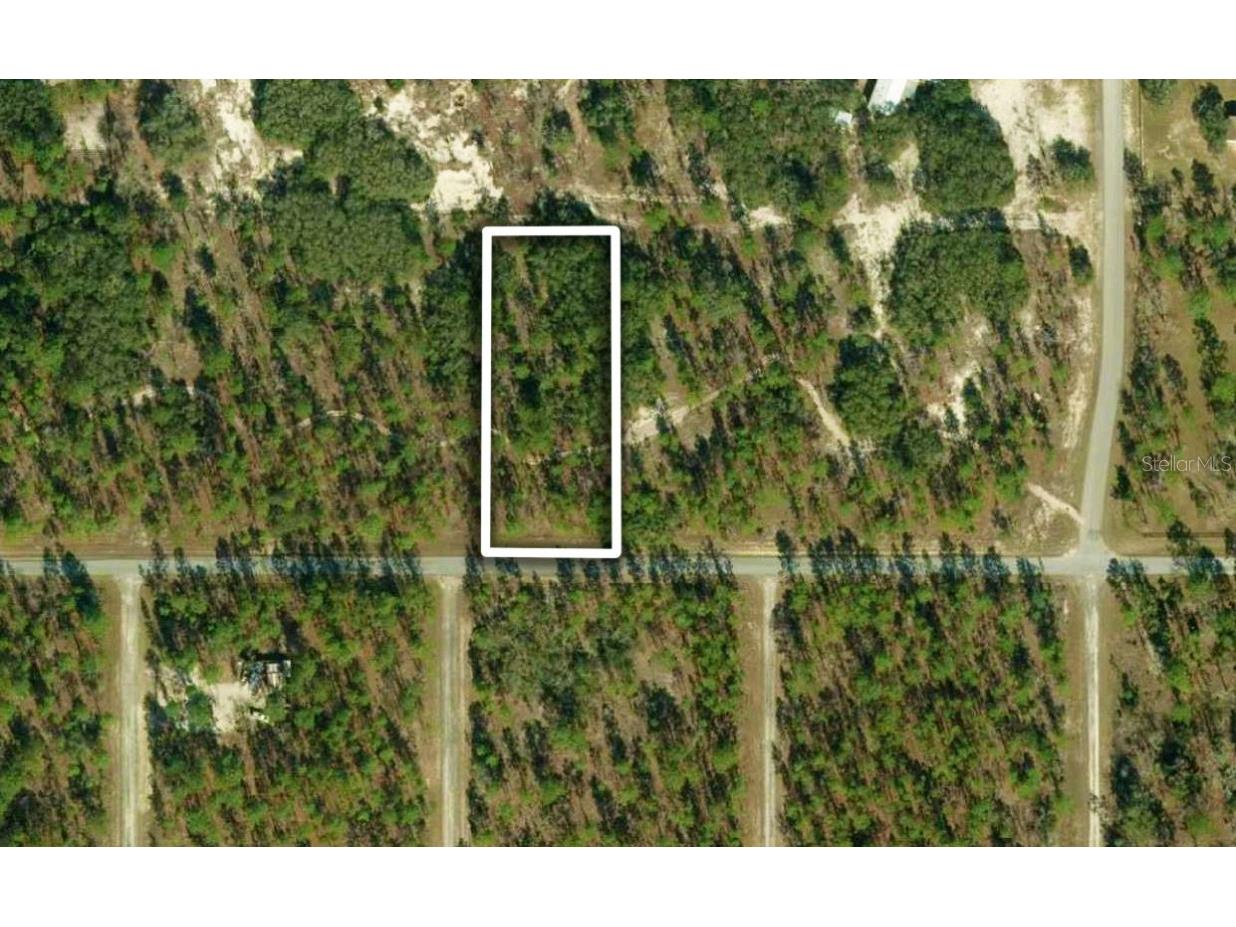 Se 105th Lane Dunnellon FL 34431 OM680835 image1