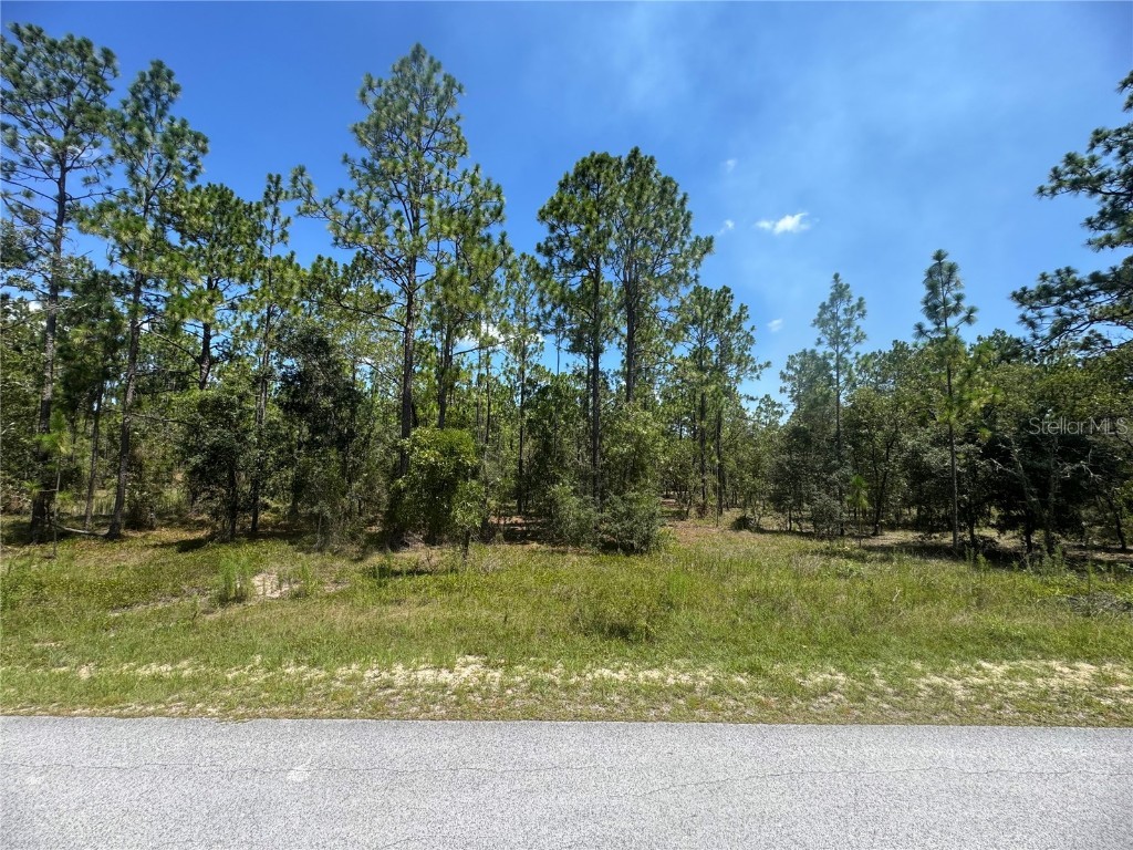 SE 105th Lane Dunnellon FL 34431 OM706398 image1