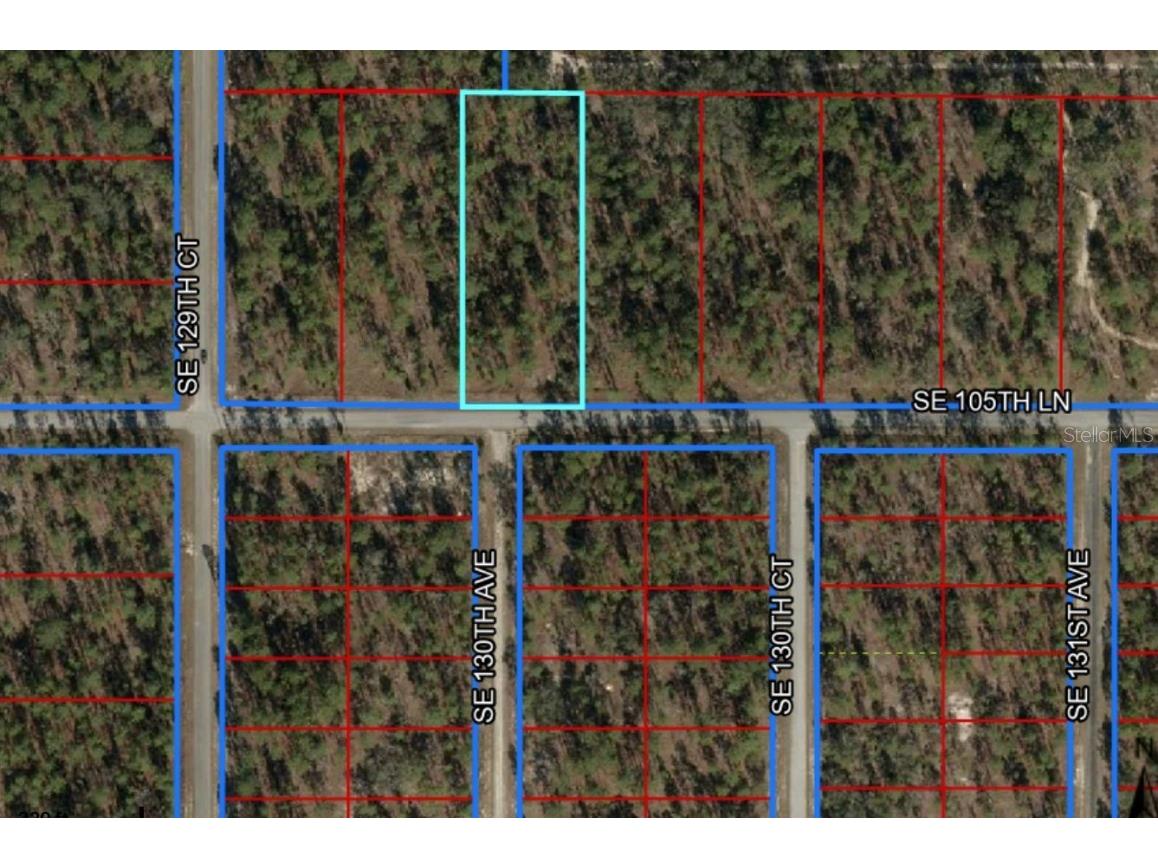 SE 105th Lane Dunnellon FL 34431 OM706398 image2