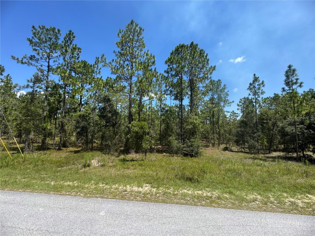 SE 105th Lane Dunnellon FL 34431 OM706398 image3