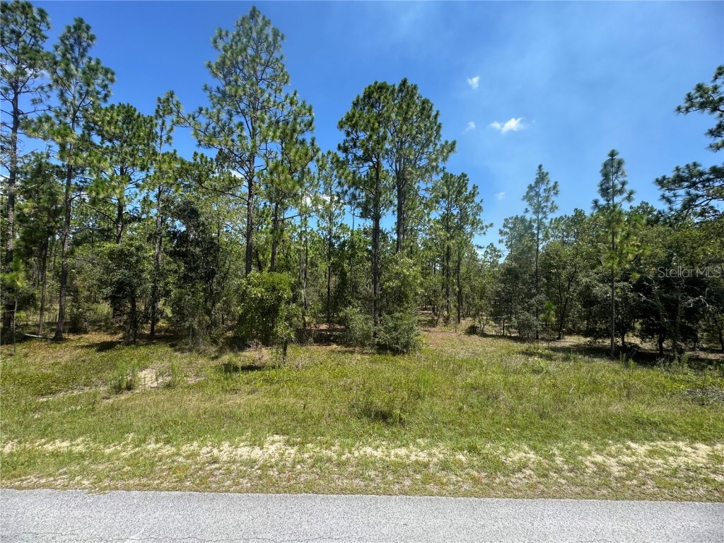 SE 105th Lane Dunnellon FL 34431 OM706398 image4
