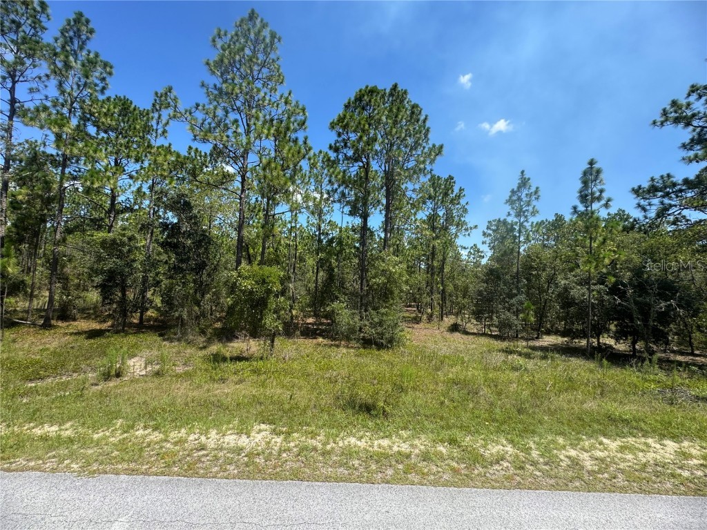 SE 105th Lane Dunnellon FL 34431 OM706398 image5